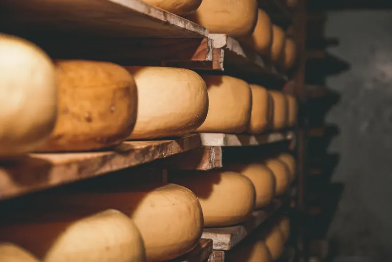 Meules de fromage affinées sur des planches en cave