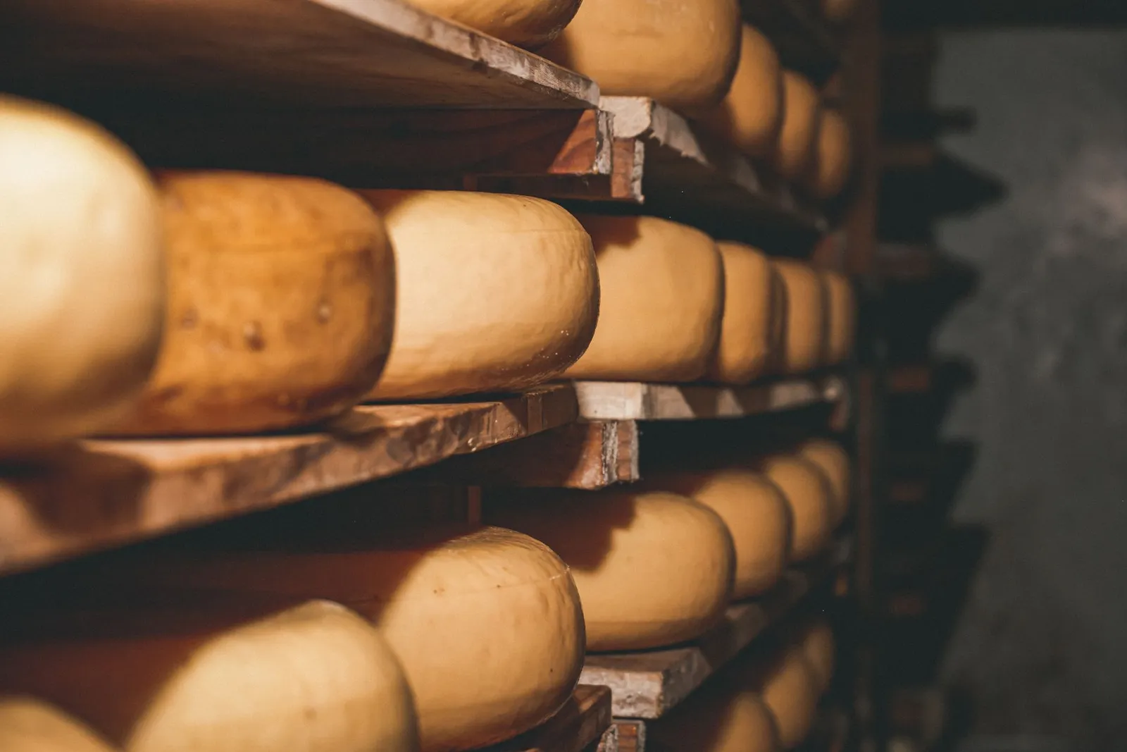 Meules de fromage affinées sur des planches en cave
